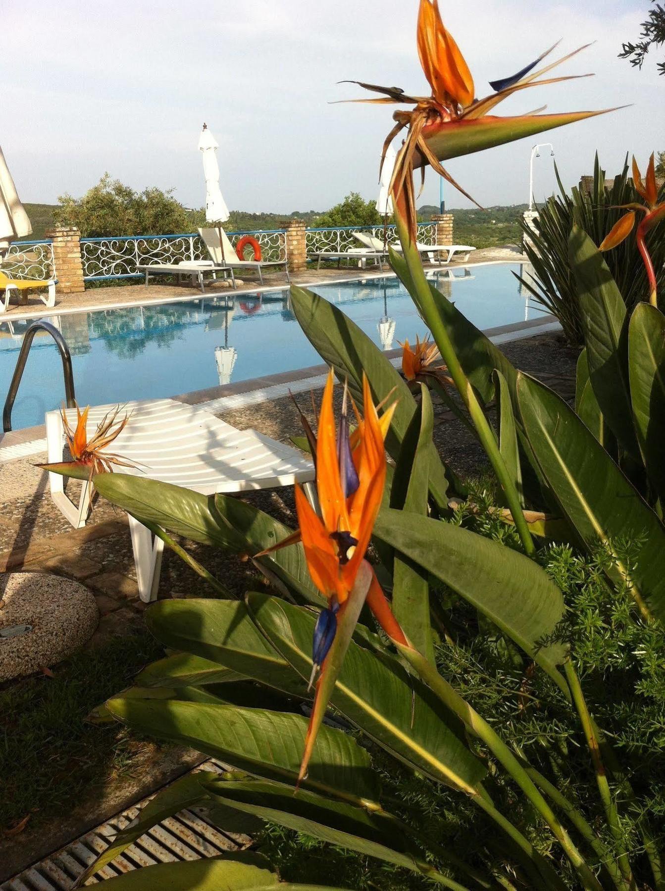Fundana Villas Kanakádes Extérieur photo